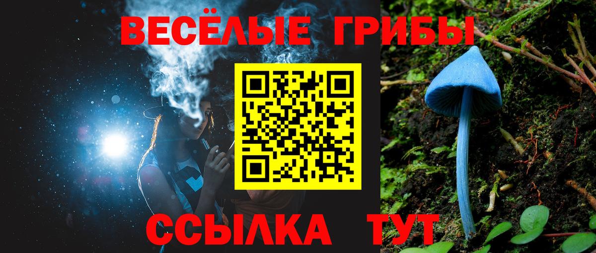 Галлюциногенные грибы Psilocybine cubensis Звенигород